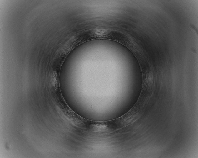 X0000103420651200809121308