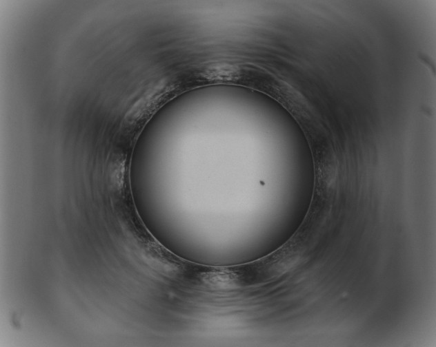 X0000103420652200809121308