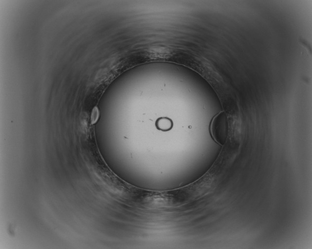 X0000103420655200809121308