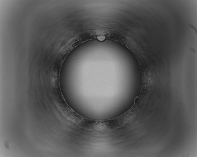 X0000103420656200809121308