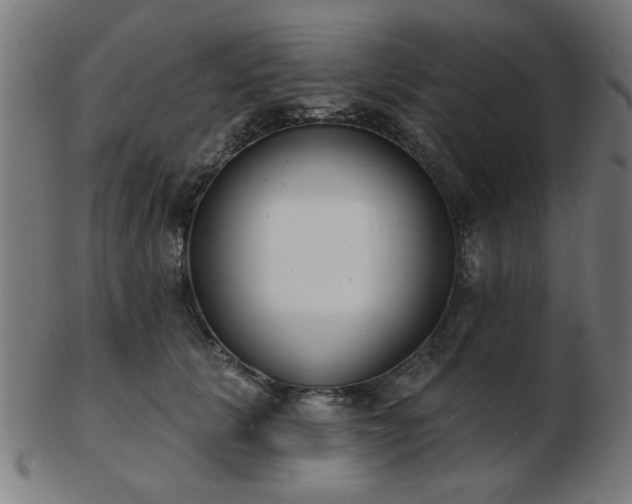 X0000103420657200809121308