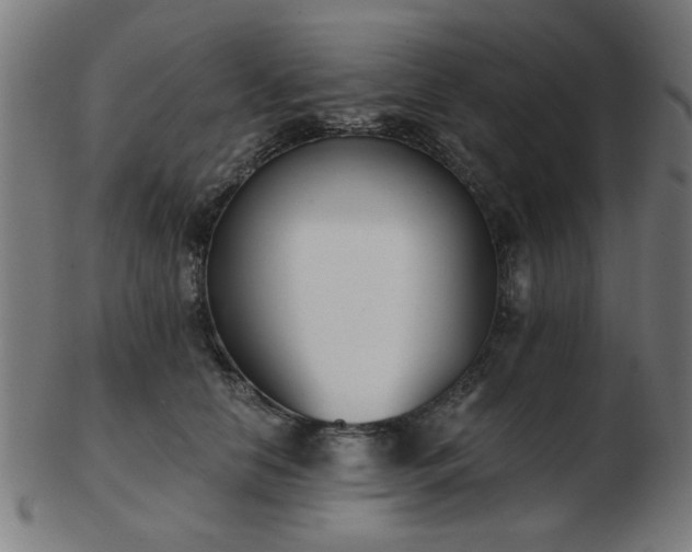 X0000103420658200809121308