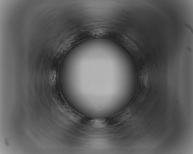 X0000103420660200809121308