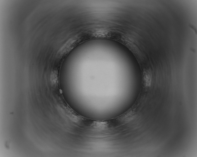 X0000103420665200809121308