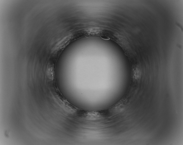 X0000103420666200809121308