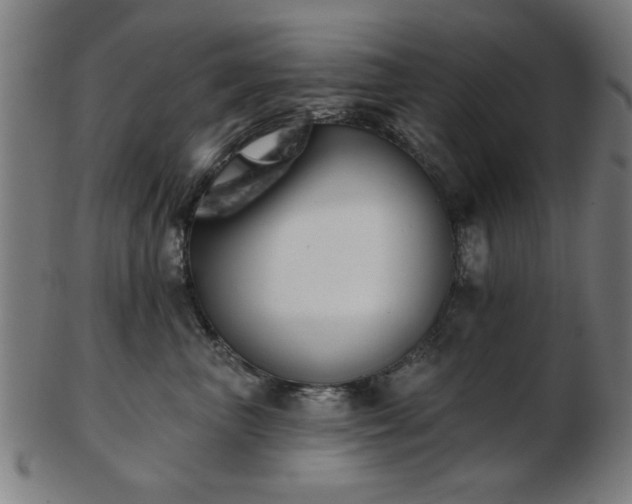 X0000103420667200809121308