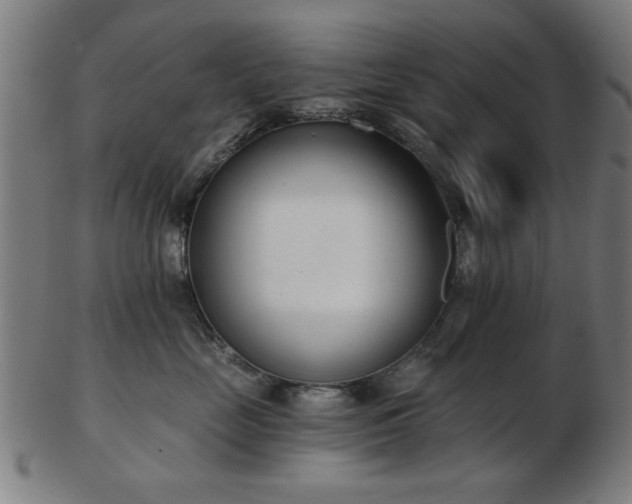 X0000103420669200809121308