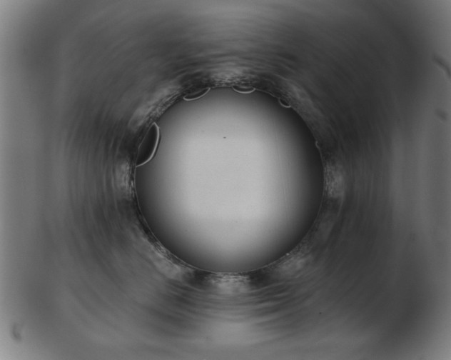 X0000103420670200809121308