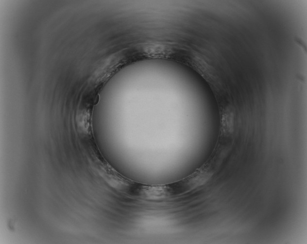 X0000103420671200809121308