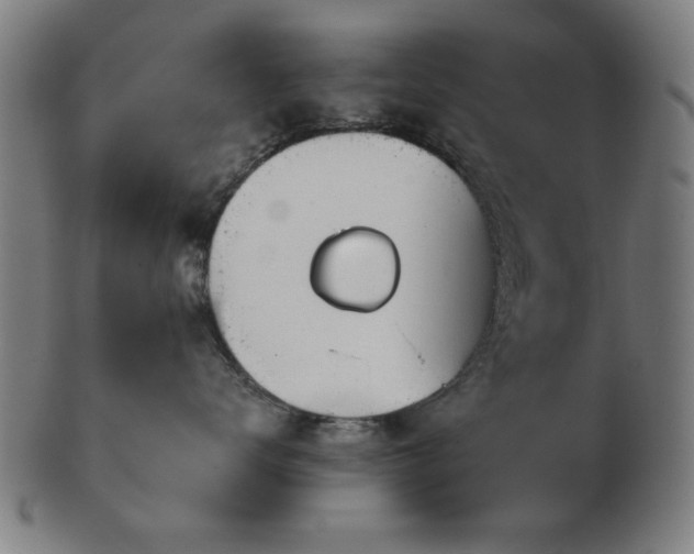 X0000103420672200809121308