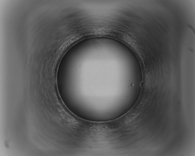 X0000103420673200809121308