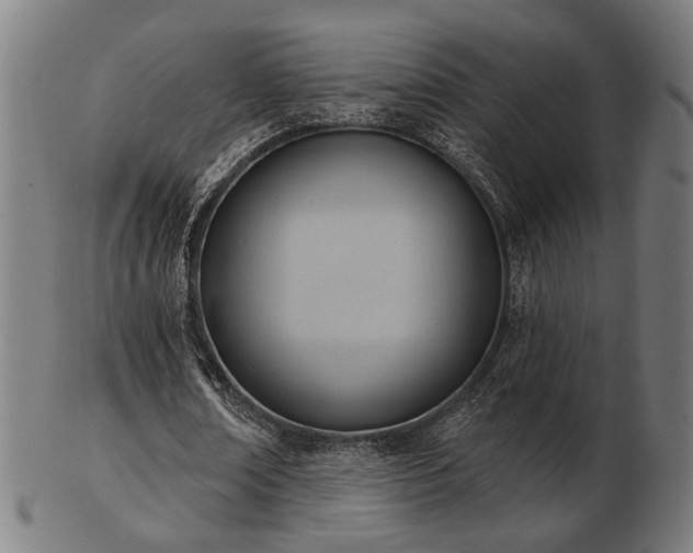 X0000103420674200809121308