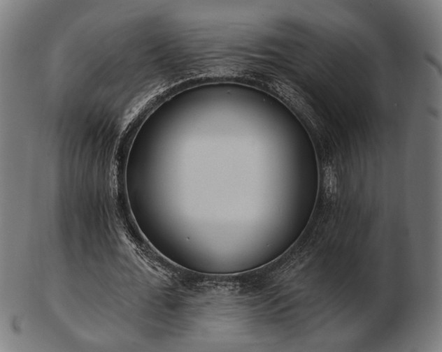 X0000103420676200809121308