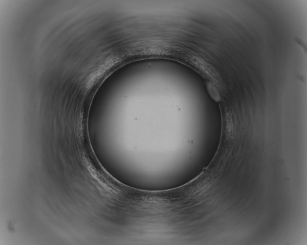 X0000103420677200809121308