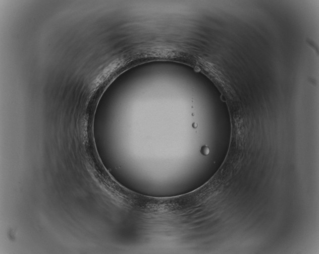 X0000103420679200809121308