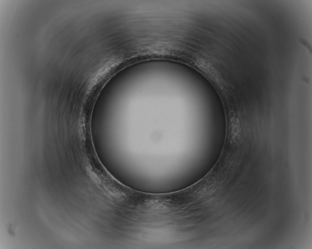 X0000103420680200809121308