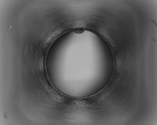 X0000103420681200809121308