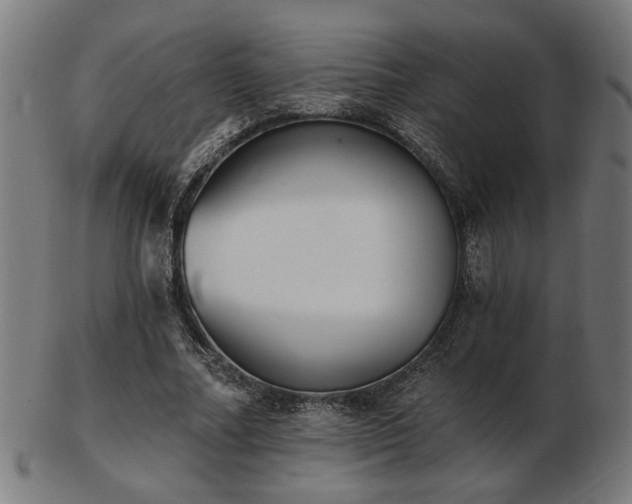 X0000103420682200809121307