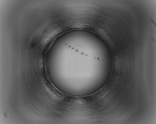 X0000103420683200809121307
