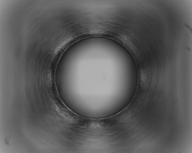 X0000103420684200809121307