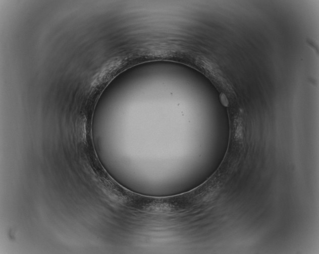 X0000103420685200809121307