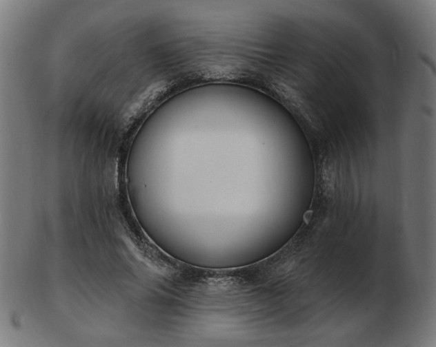 X0000103420686200809121307