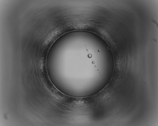 X0000103420687200809121307
