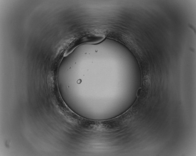 X0000103420688200809121307