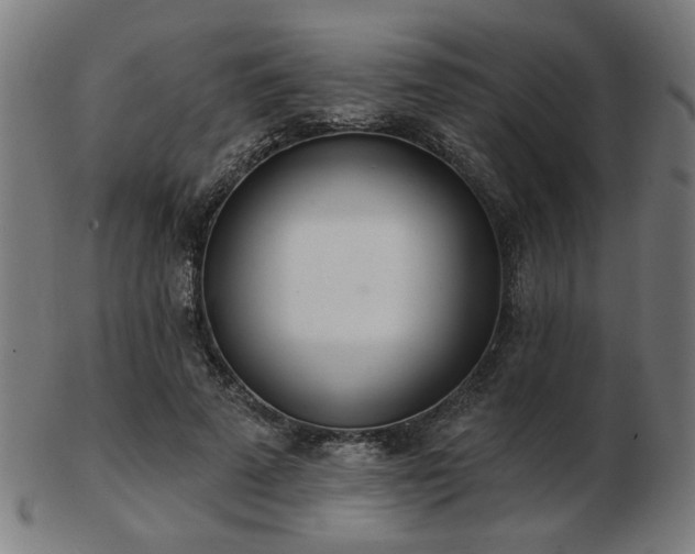 X0000103420689200809121307