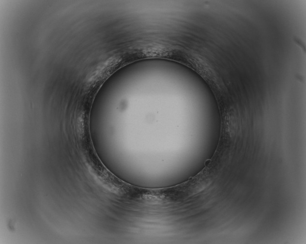 X0000103420690200809121307