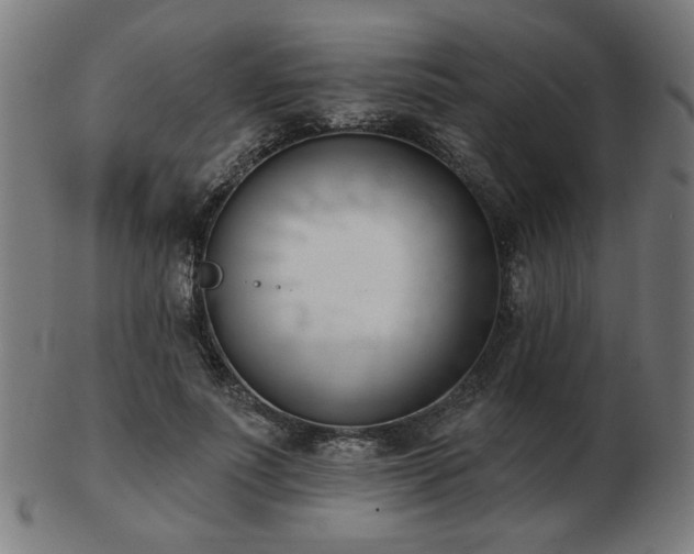 X0000103420691200809121307