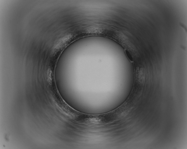 X0000103420692200809121307