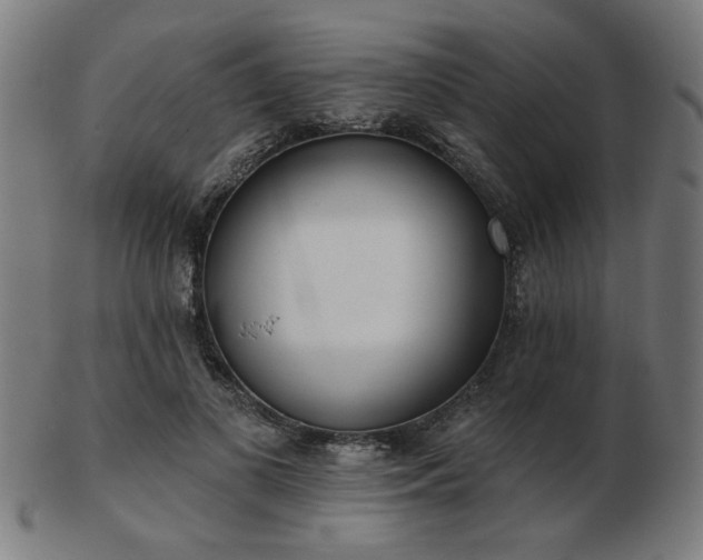 X0000103420693200809121307