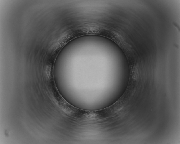X0000103420695200809121307