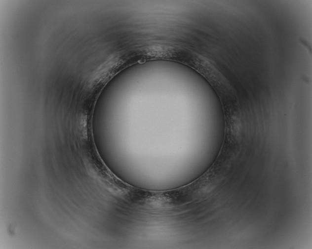 X0000103420696200809121307