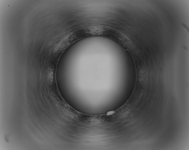 X0000103420697200809121307