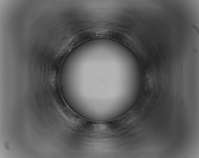 X0000103420698200809121307