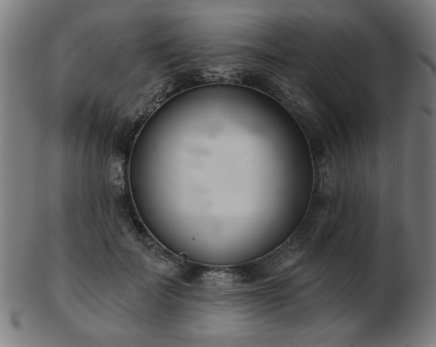 X0000103420699200809121307