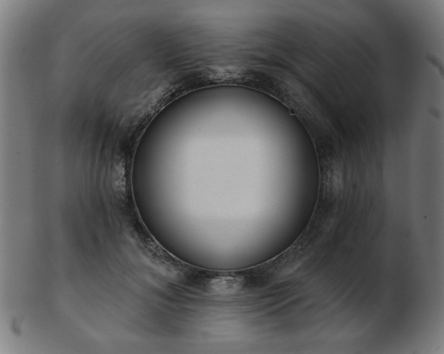 X0000103420700200809121307