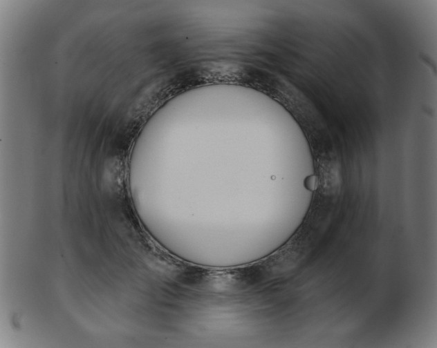 X0000103420701200809121307