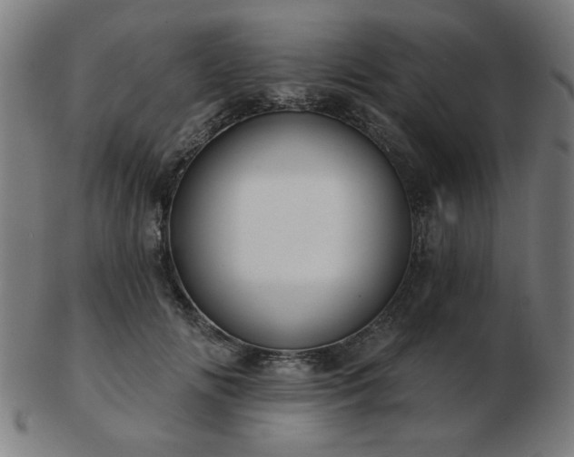 X0000103420702200809121307