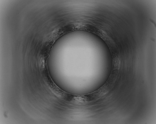 X0000103420703200809121307