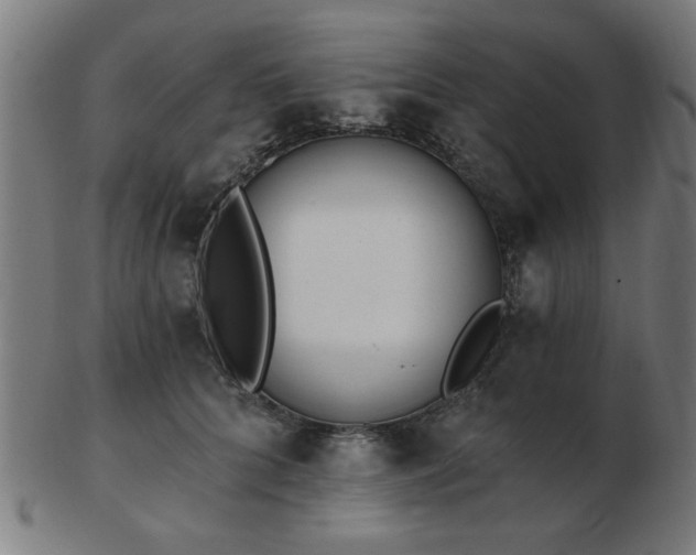 X0000103420704200809121307