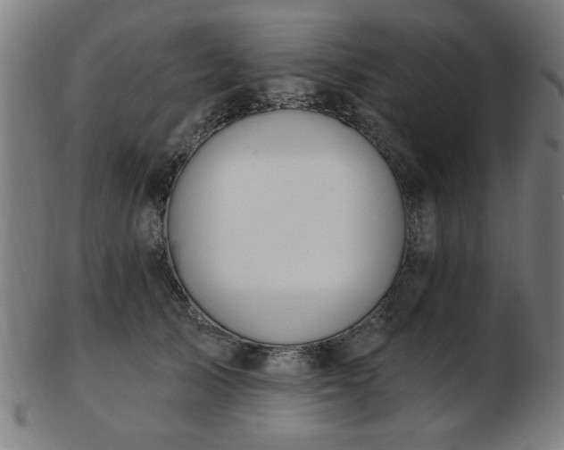 X0000103420705200809121307