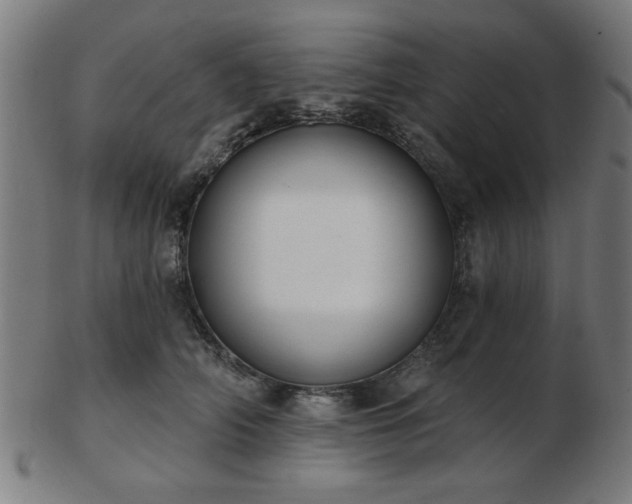 X0000103420706200809121307