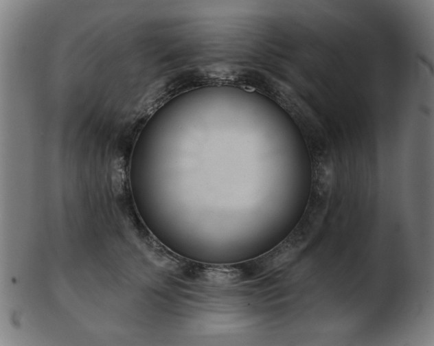 X0000103420707200809121307