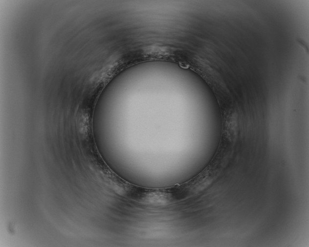 X0000103420708200809121307