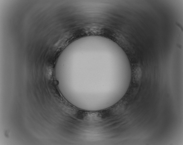 X0000103420709200809121307