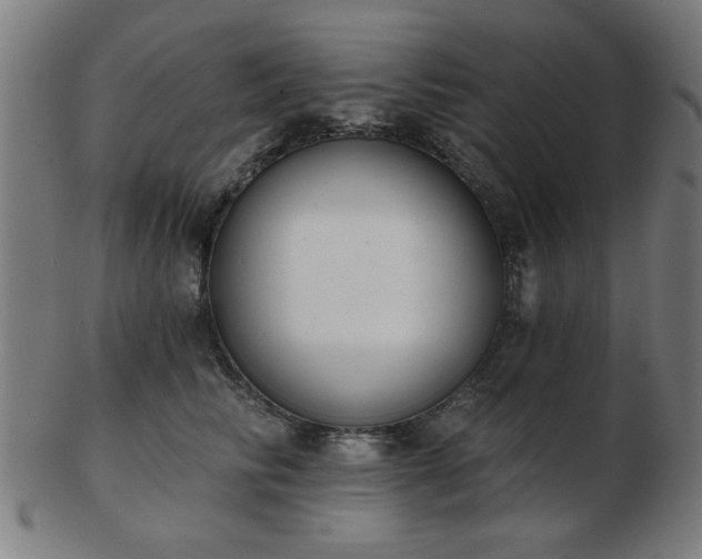 X0000103420710200809121307