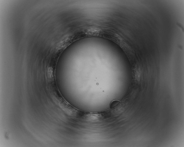 X0000103420711200809121307